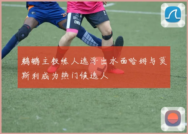 鹈鹕主教练人选浮出水面哈姆与莫斯利成为热门候选人